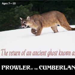 PROWLER OF THE CUMBERLAND