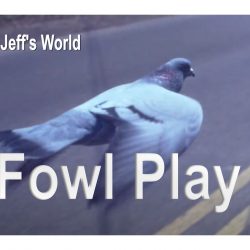 JEFF’S WORLD: Fowl Play